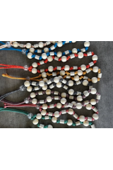 Collar antigarrapatas para perros